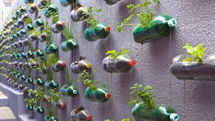  Scientists warn of dangers in using old plastic bottles with EDC