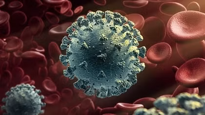 New COVID-19 cases infected with India and UK variants
