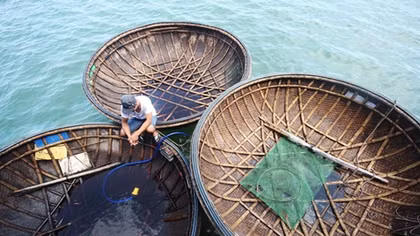The coracle 'miracle': How squid fishing boats are made