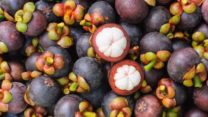 Farmers in Binh Duong see bumper mangosteen harvest