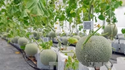 Project approved to boost growth of agricultural biotech industry