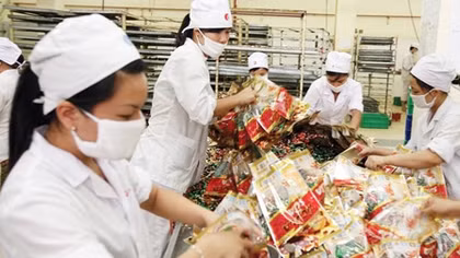 Hanoi Police and Vietnam Social Insurance join hands to prevent insurance crime