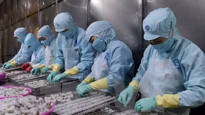 Seafood export value estimated at US$844 million early 2017