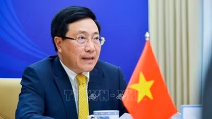 Informal ASEAN Ministerial Meeting: Vietnam, ASEAN cooperate to drive back pandemic