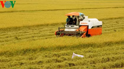 Vietnam aims to earn global reputation for rice quality