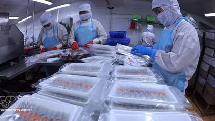 Vietnam's shrimp exports hit 3.7 billion USD in nine months