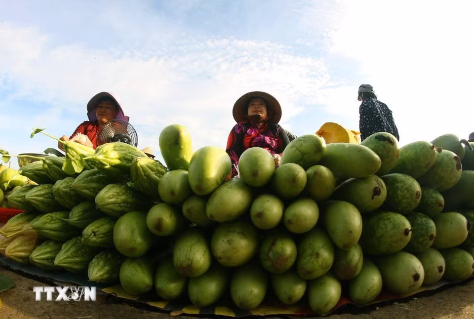 Informal market stalls give local residents a place to sell produce from their home gardens. (Photo: Duy Khuong/VNA)