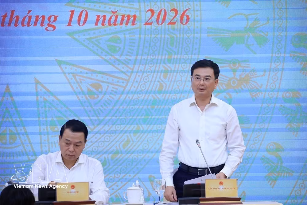 Deputy Governor of the State Bank of Vietnam Pham Thanh Ha speaks at the press briefing (Photo: VNA)