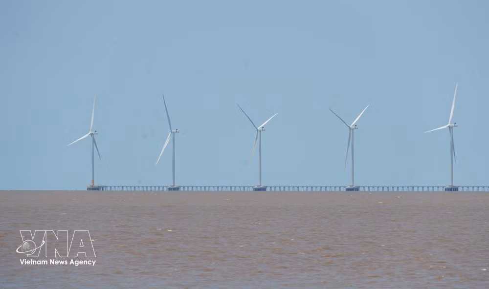A view of Tan Thuan commune wind power project in Ca Mau province. (Photo: VNA)