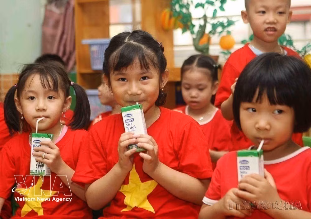 Under Hanoi’s School Milk Programme, all preschool and primary school children are provided with milk to support their development. (Photo: VNA)