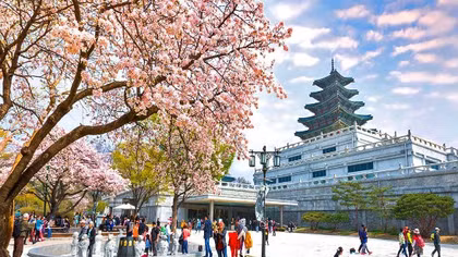 South Korea Expands 10-Year Visa Policy, Vietnam–Korea Tourism Accelerates