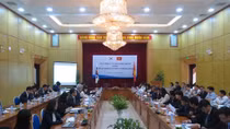 Vietnam, RoK review partnerships, look to spur economic relations