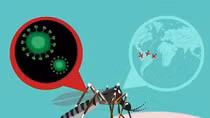 Zika infection case in Japan is not Vietnamese