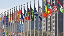 Vietnam reports on UN Convention against Torture implementation