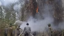 Central Highlands region works to prevent dry-season forest fire