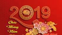 Vietnamese work together towards goals set for 2019