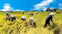 Challenges and opportunities face the Vietnamese agriculture