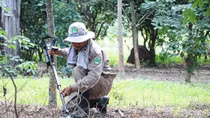 Domestic and international efforts boost landmine cleanup