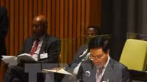 Vietnam presents candidacy for non-permanent membership of the Security Council for the term 2020-2021