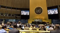 Vietnam wins election to UNSC
