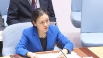 Vietnam emphasises obligation to solve disputes peacefully at UNSC debate
