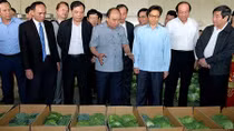 PM vows best environment for agriculture, rural development