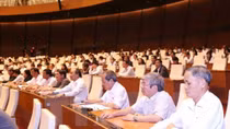 Danish, Vietnamese lawmakers hold discussion in Ninh Binh