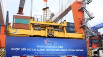 Vietnam plays important role in Mekong-Japan cooperation mechanism