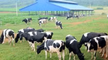 Decree designed to encourage investment in agriculture
