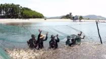 Ca Mau province rolls out red carpet for investors