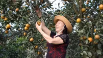 Green tourism – an emerging trend in post-COVID-19 landscape