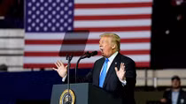 US Midterms Won't Significantly Affect Trump’s Foreign Policy - EU Lawmaker