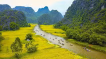 Vietnam to introduce tourism in RoK in late June