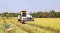 Australian businesses remain keen on Vietnamese agricultural technology