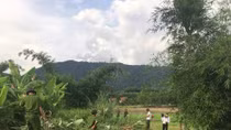 Armed forces in Dong Nai joining hands with locals in building new rural model 