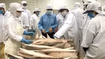 VASEP talks about EP fisheries committee’s IUU fact-finding tour