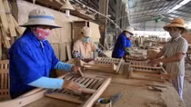 CPTPP: opportunities, challenges await VN’s agro-forestry-fishery
