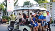 Electric cars used in Sa Dec flower village
