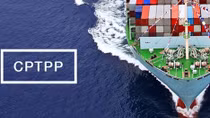 Vietnam needs to capitalize on CPTPP agreement