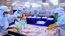 Fisheries sector required to continue improving product quality