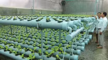 Restructuring helps form agricultural product categories