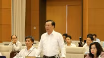 Decree on customs procedures for goods in transit needed: lawmakers