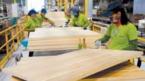 Forestry exports estimated to exceed US$5.8 billion in 8 months