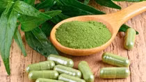 Vietnam prescribes Asian herb Andrographis for COVID-19 treatment