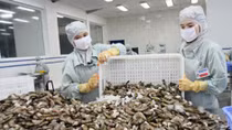 FTAs drive Vietnam-Australia trade ties to new heights