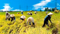As promised, trade agreements good for agriculture