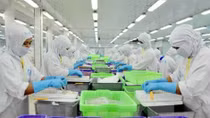 UK tops importers of Vietnam’s prawn in EU in 2016