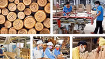 Vietnam looks to boost timber exports to EU
