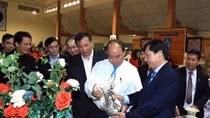 Prime Minister makes surprise visit to Chu Dau ceramic village