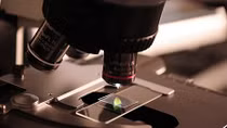Scientists Invent Method to Turn CO2 Into Solid Carbon – Report